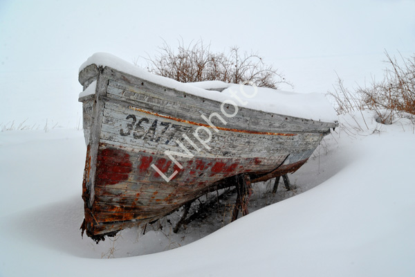 Grand Marais2014 364