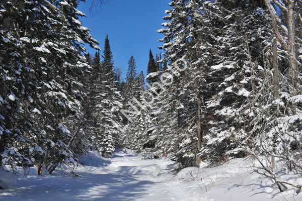 Grand Marais2014 662