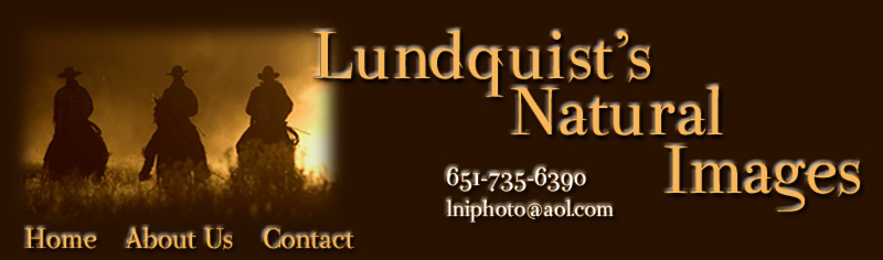 Lundquist's Natural Images